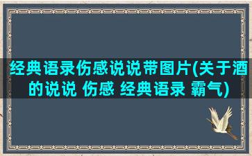 经典语录伤感说说带图片(关于酒的说说 伤感 经典语录 霸气)